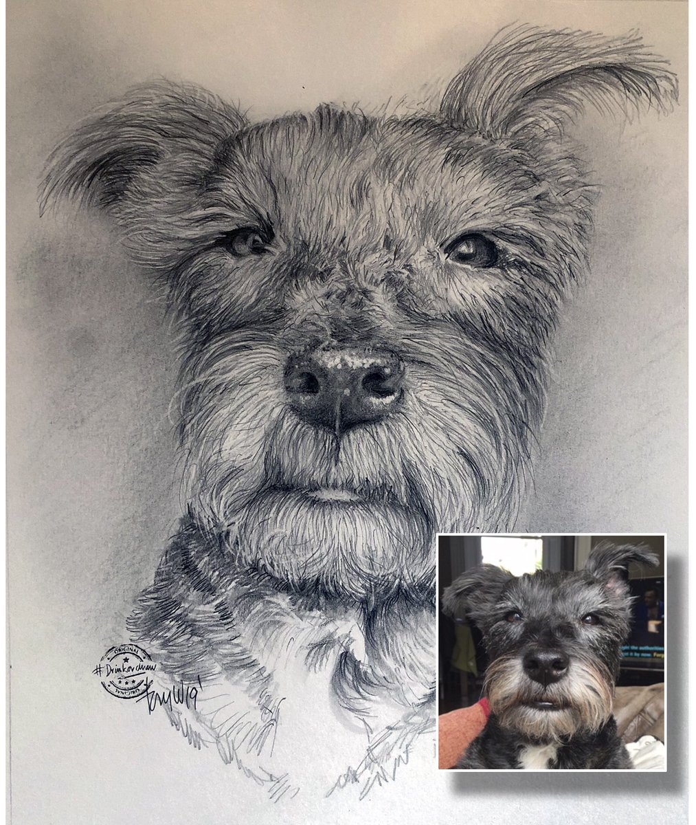 drinkordraw's tweet photo. 2 more pet commissions this week... one going to #London one to #NewZealand 😳 https://t.co/Fy6rD6KYrt