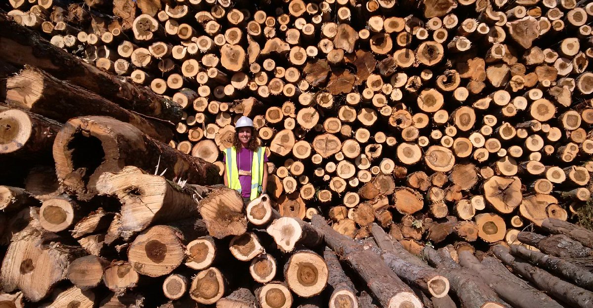 mbulgutch's tweet photo. We've been checking the progress of this house for a couple of weeks now. Great opportunity to learn how wood becomes lumber. So glad I took a forestry tour this summer through Canadian Ecology Centre #BackroadsBill https://t.co/4t5lLza7sD