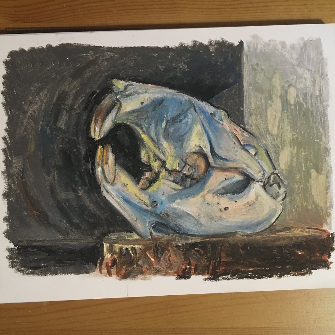 CollingeJake's tweet photo. Pastel piece (beaver skull I own) done over 2 sittings. Learned that you can use solvents like oil paints for texture variety and smoother blending, pretty neat! #oils #painting #oilpastel #stilllife #beaver https://t.co/CPw0j1z7Cc