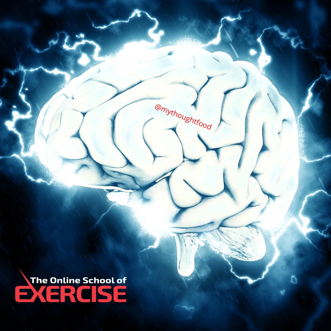 The Ancient Roman philosopher Cicero said “it is exercise alone that supports the spirits and keeps the mind in vigor.” He knew what science confirmed thousands of years later: Physical activity promotes brain health because of angiogenesis.