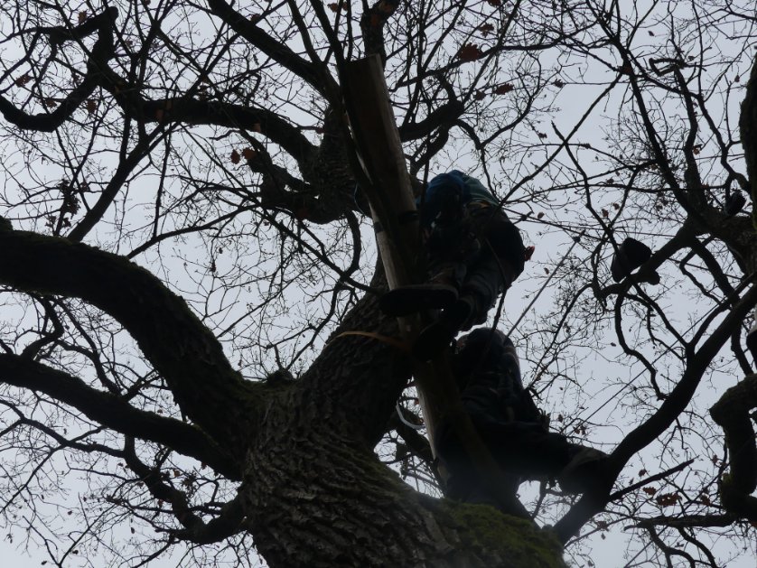 keinea49's tweet image. Und… noch ein Baumhaus! Solange die #DEGES die #A49 bauen will, schaffen wir neue Strukturen um sie zu blockieren! Dank der solidarischen Menschen die uns dabei unterstützen. Solidarität ist ein Waffe.
#keineA49
#SupportYourLocalPlanet
#DanniBleibt
#HambiBleibt
#OsterholzBleibt