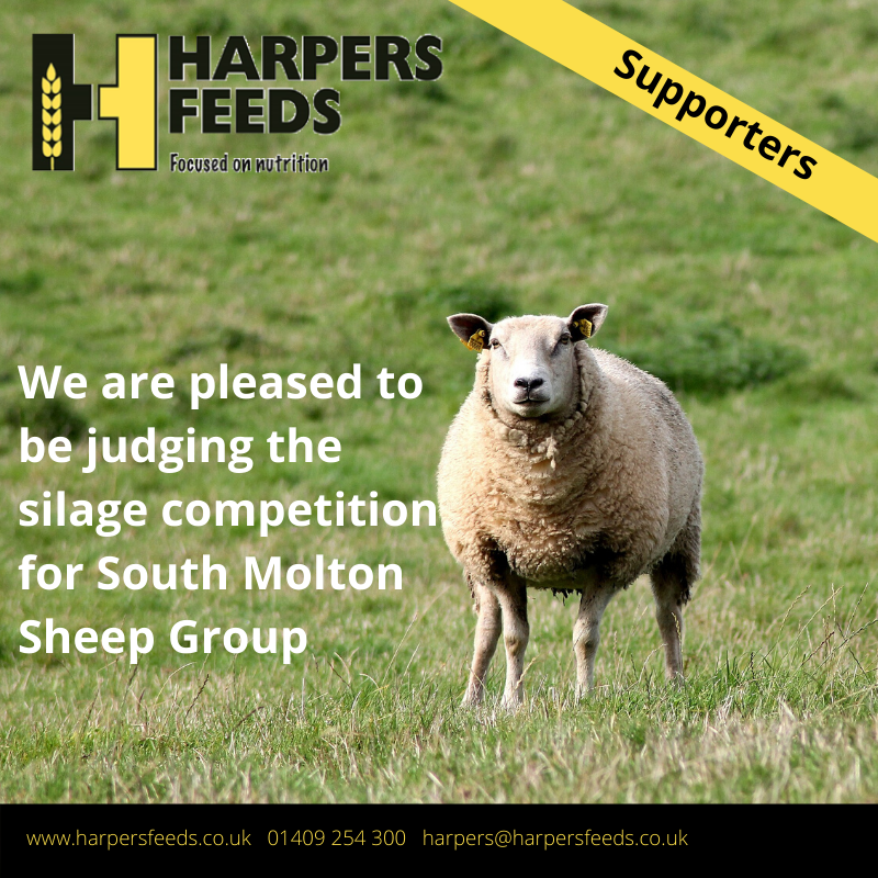HarpersFeeds's tweet photo. We are delighted to be asked to judge the #silage competition for @SouthMoltonSheepGroup again this year!
More information on our silage sampling services can be found on our website #forage #focusedonnutrition #sheepfarming #focusedonewe https://t.co/VXdqbvd2Qe