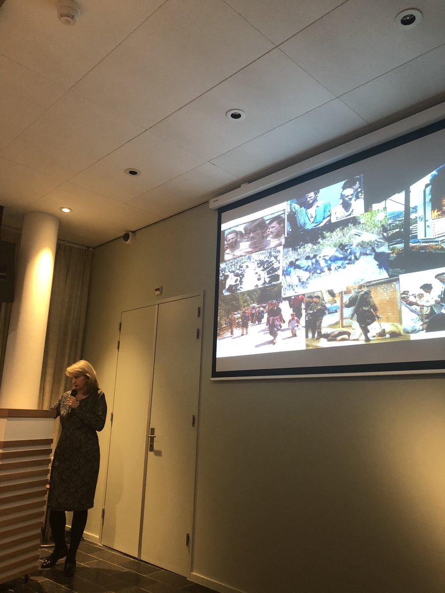 the aftermath of the #srebreniza #genocide  #trauma #war @nerminakravik #symposium