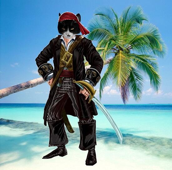 phycoinsc's tweet photo. Happy #piratethursday everyone from back in da days Iz dressed up everyone! π #aarrgh! Have a pawsome day! π #TuxiesRule! #TuxieGang! πππ https://t.co/vEo0baVe3T