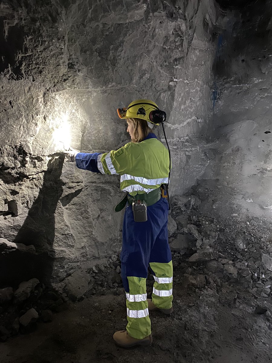 LouisaJPreston's tweet image. Such a great few weeks exploring the Earth from the inside! #marsanalogues #ExoMars #realgeologistswearhardhats with @MRBarcenilla