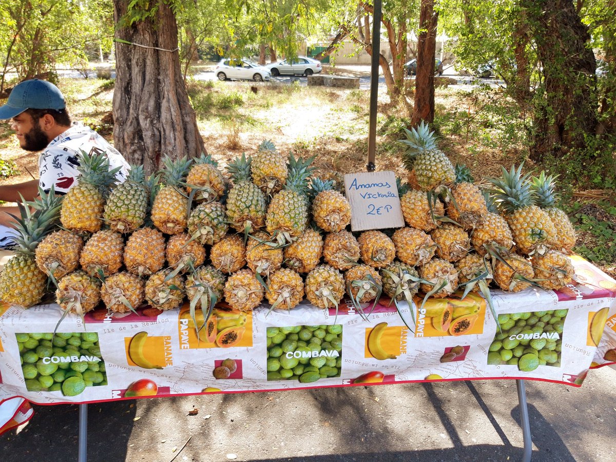 Nicolas Becker tweet media