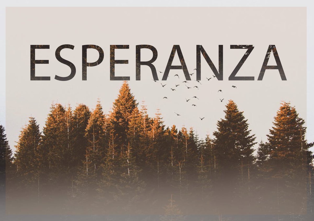 norcentral's tweet photo. •Integridad y rectitud me guarden, porque en ti he esperado•
Salmos 25:21 https://t.co/yDyZ0E0BS9