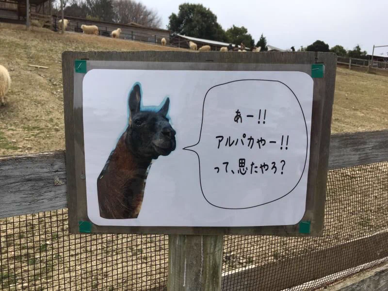 @Tw_Meigen_bot ラマんとこは全部で4つ看板ありまっせ。
ハーベストの丘でございます。 