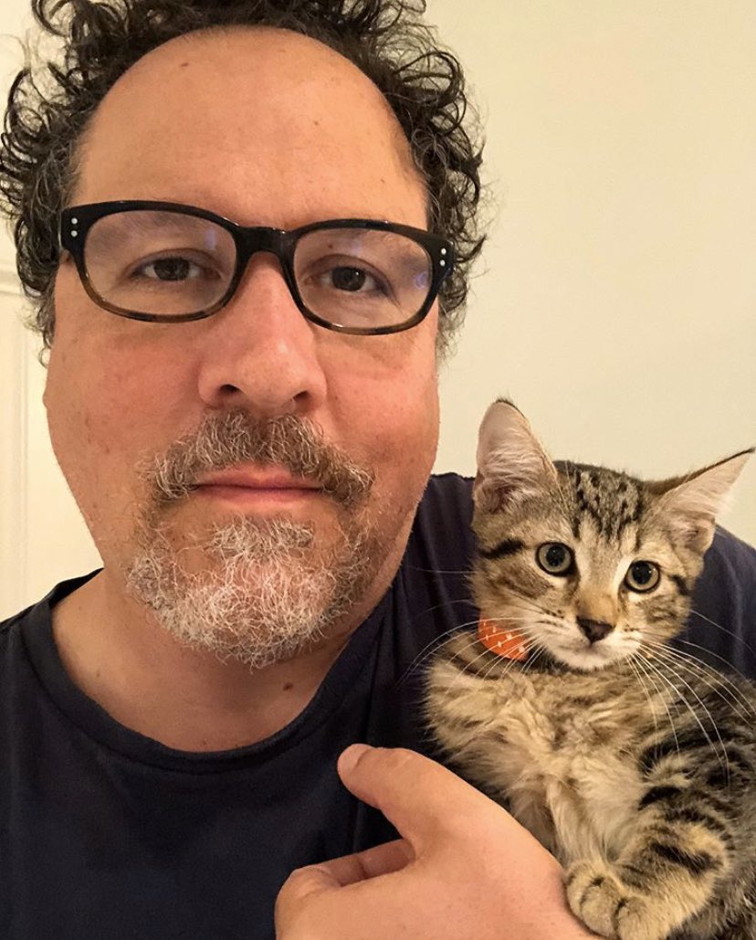 Breaking News: Kitten Trumps Head of Security Happy Hogan. Apparently, we’re welcoming him as the newest addition to the security team. The titular perpetrator, as pictured below, will be officially known as “Security Cheiften.” Which is a clever play off of ‘chief’ &amp; ‘kitten’.