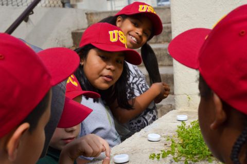 “Early education could help prevent melanoma, skin cancer among Hispanics in adulthood” buff.ly/2rZdPGK Get educated with free online programs at buff.ly/1qdBcWc #melanoma #ApplyCoverEnjoy #skincancer