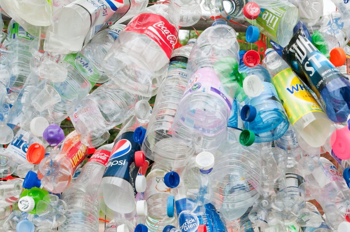 WE NEED YOUR HELP!
I am creating a recycling xmas tree for Chester Cathedrals Xmas Tree festival, we need 500 empty 2L plastic bottles before Nov 27, if you have any to spare please drop them into the cathedral ASAP 🙏 Please spread the word to your friends