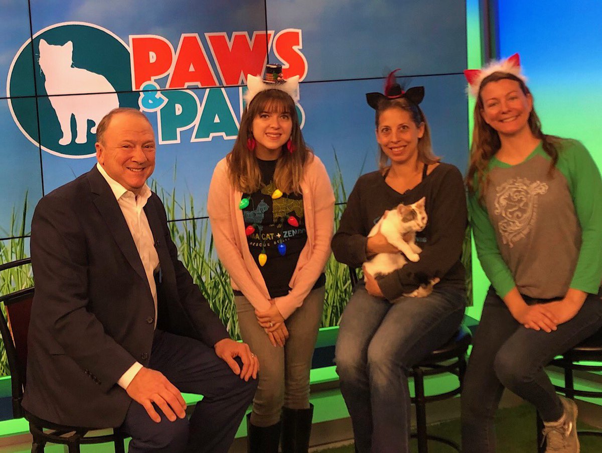 THANK YOU to News 12 New Jersey and Dr. Brian Voynick for having us back on set today! Stay tuned; KCZD will be airing on Paws &amp; Pals in December and January! 📺 🐱 🎥 <a href="/News12NJ/">News12NJ</a>