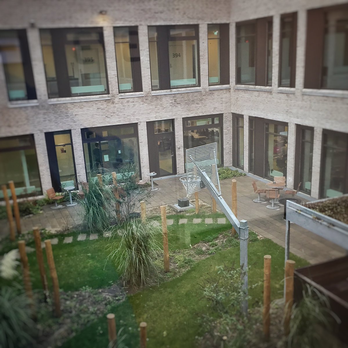 beritten's tweet photo. Pssst! Brugerinvolvering. Jeg siger det bare 🌱🏀🤔😂 #brugerinvolvering #aarhusuniversitetshospital #userinvolvement #psychiatry #userexperiencefail #sundpol https://t.co/EUjMZAT5nn