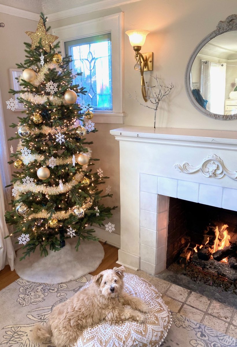 the season of sparkly bridgetbeth.com/2019/11/21/the…