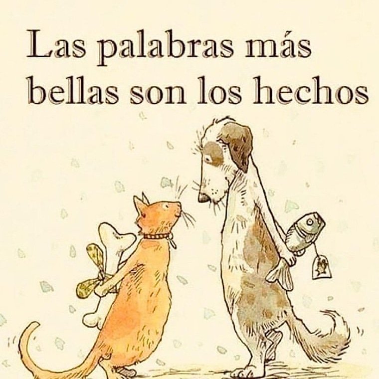 iRetomx's tweet photo. Las palabras son hermosas pero los hechos valen oro 
#FelizJueves #BuenDia https://t.co/SvbNRBKkWF