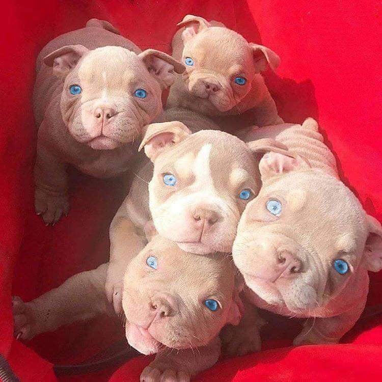 Stunning! 🤩🤩🤩