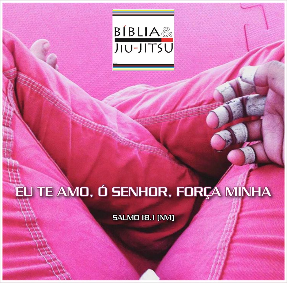 bibliaejiujitsu's tweet photo. “Eu te amo, ó Senhor, força minha” (Salmo 18.1).
#Oss 👊🏻 #BibliaeJiuJitsu #BrazilianJiuJitsu #JiuJitsu #ArteSuave #jiujitsugirls #jiujitsuparamulheres #bjjgirls #mulheresnotatame #bjjlife #mulheresnojiujitsu #poderosasbjj #jiujitsufeminino #absolutabjj #sinistrasbjj #bjj https://t.co/9oRx1RYXfk