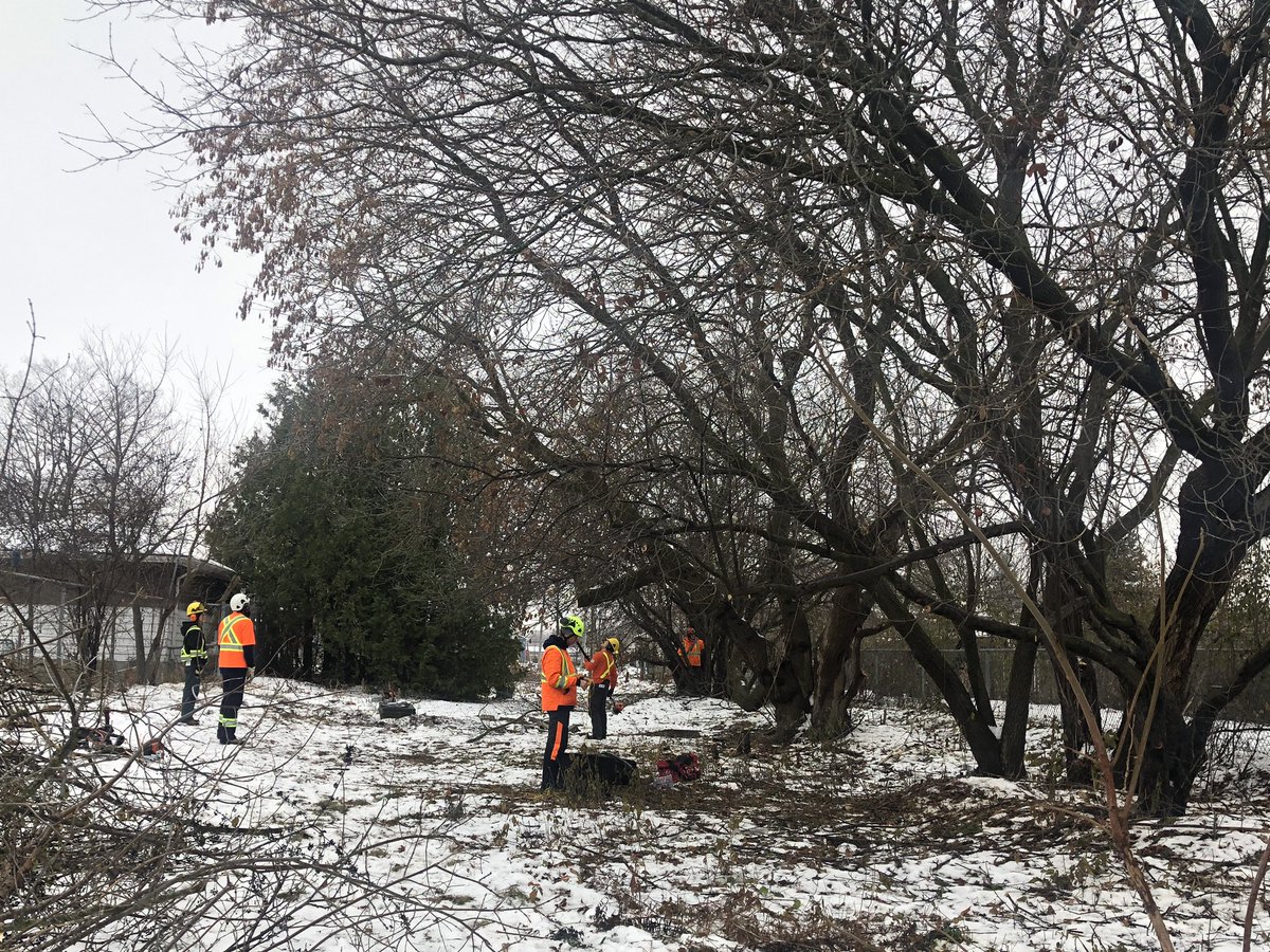 BGC Kawarthas tweet media