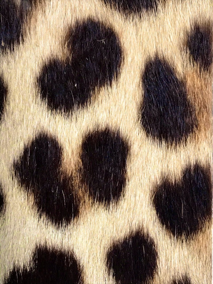 Ben_garrod tweet picture