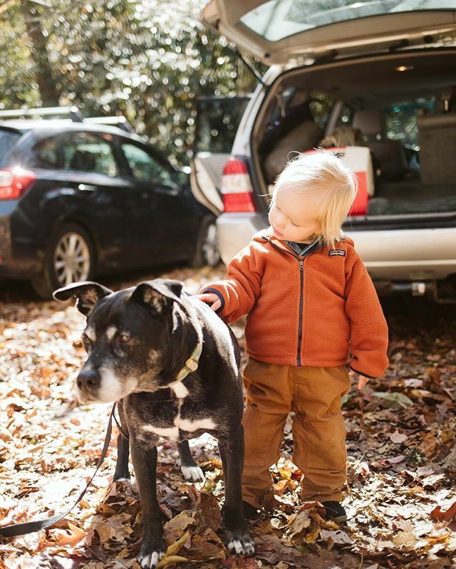 Our old lady, Nellie, went in for a surgery this morning to have some tumors removed that were starting to bother her. Roald helped me with drop off and waved goodbye and then when we got about a mile away he started crying, saying “Nellie” and pointing … ift.tt/37o3YKK