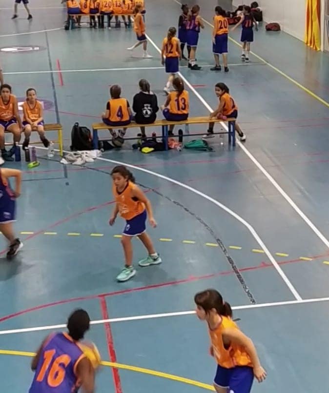 cbfarners's tweet image. PDP a Igualada de la @FCBQ 🏀

Fins a set jugadores i jugadors del 2008 i 2009 del nostre Club, van participar a la trobada de PDP de diumenge passat.
Enhorabona Èlia, Laia, Pau, Arnau, Quim, Jan i Ferran!