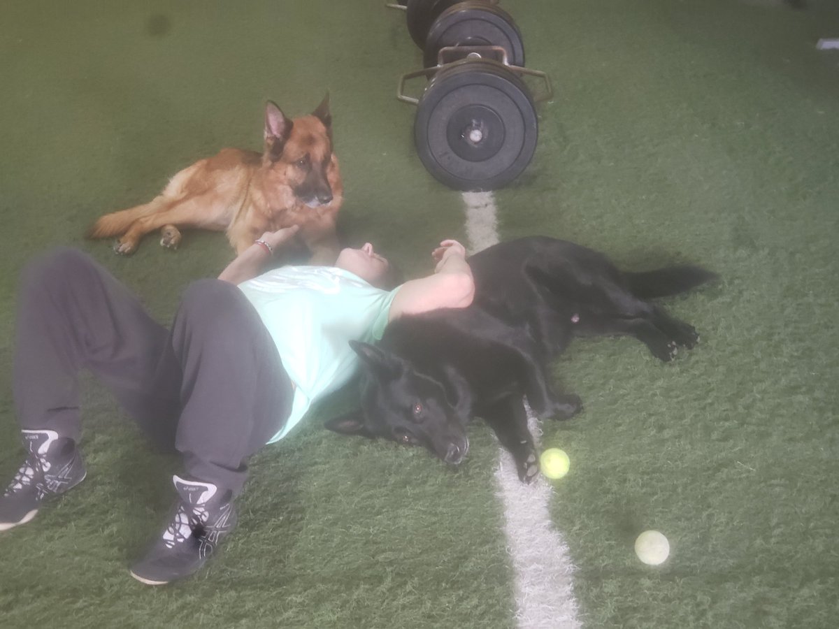 I Hurt today! My friend Steve Pisanti passed away after a strong fight against pancreatic cancer.He showed me what real Toughness is! He had No Fear! His attitude was fantastic!He continued to train with me during his battle.Knowing Steve Pisanti has made me a better human being!