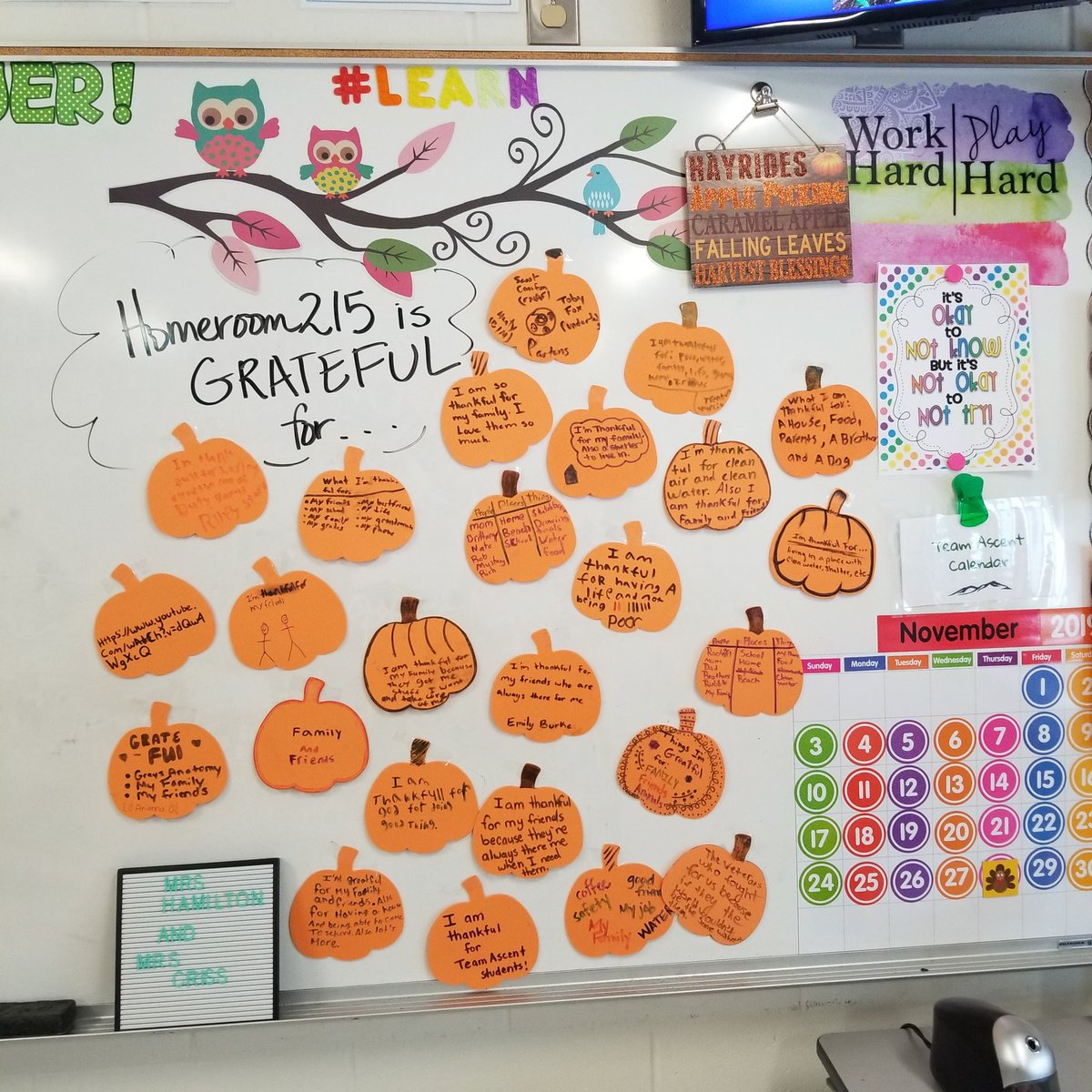 We are grateful this month and every month for.....#BMSthePlace2B #bmsteamascent
