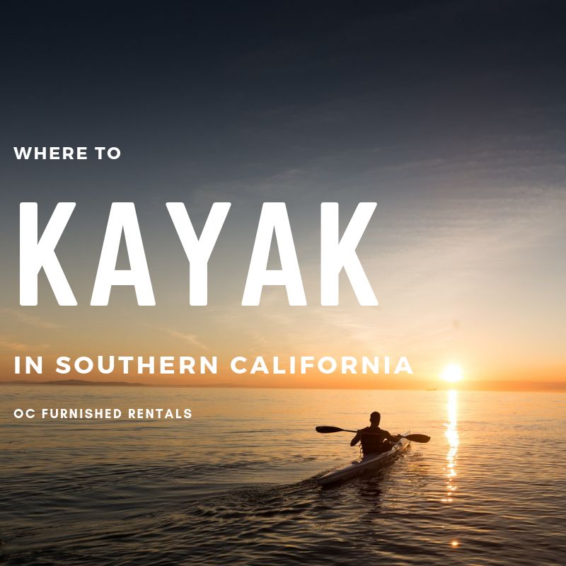 OCFurnishedRent's tweet photo. See some fall colors... out on the water! Check out these top spots for kayaking in and around Orange County! https://t.co/K9t49kgqSN

#SouthernCalifornia #FallColors #kayaking https://t.co/57hTGTdDkm