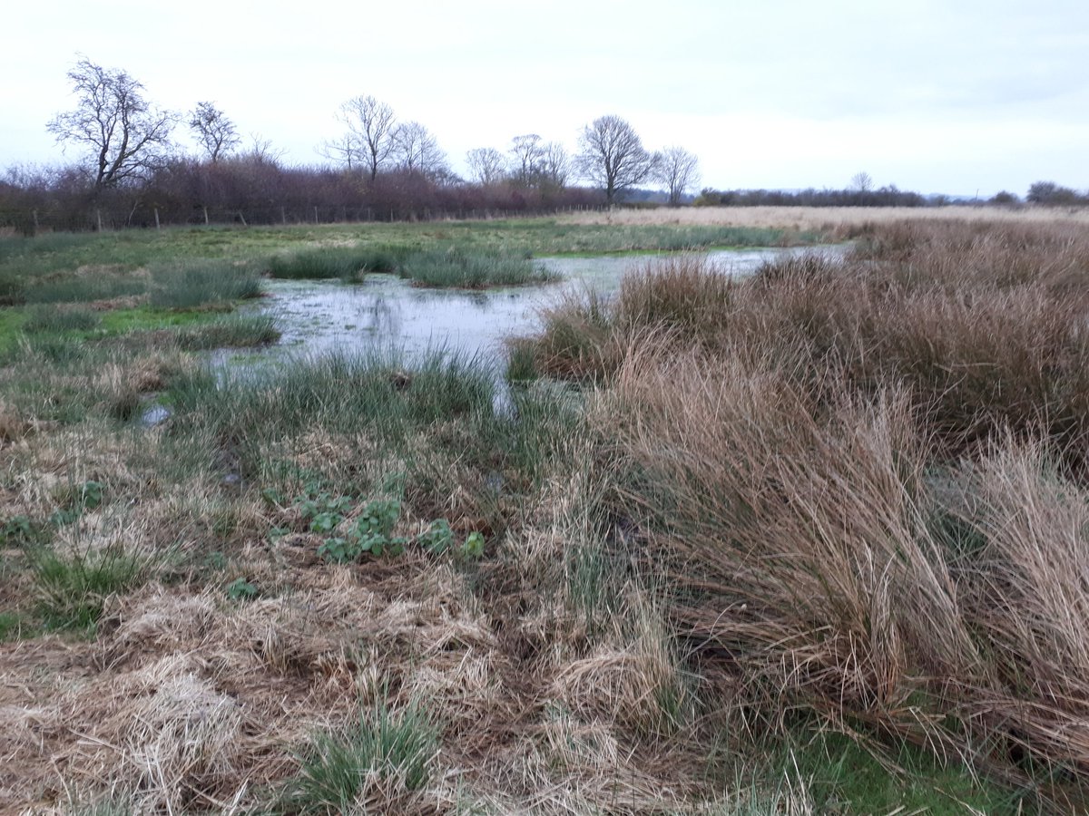 Yorkshire Wildlife Trust - North Yorkshire tweet media