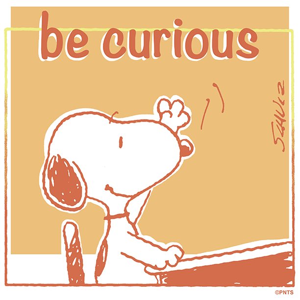 Never be afraid to ask questions.