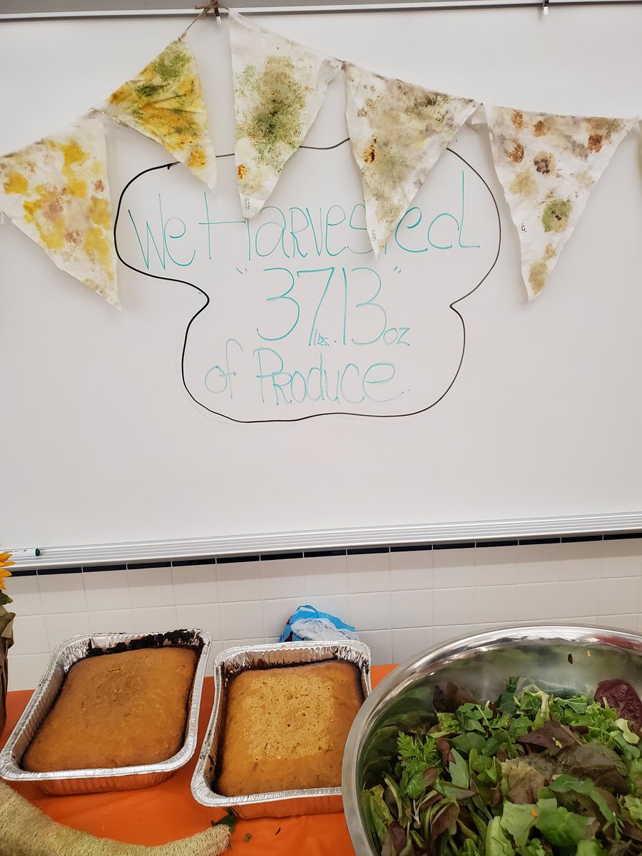 Heidi Cox tweet media