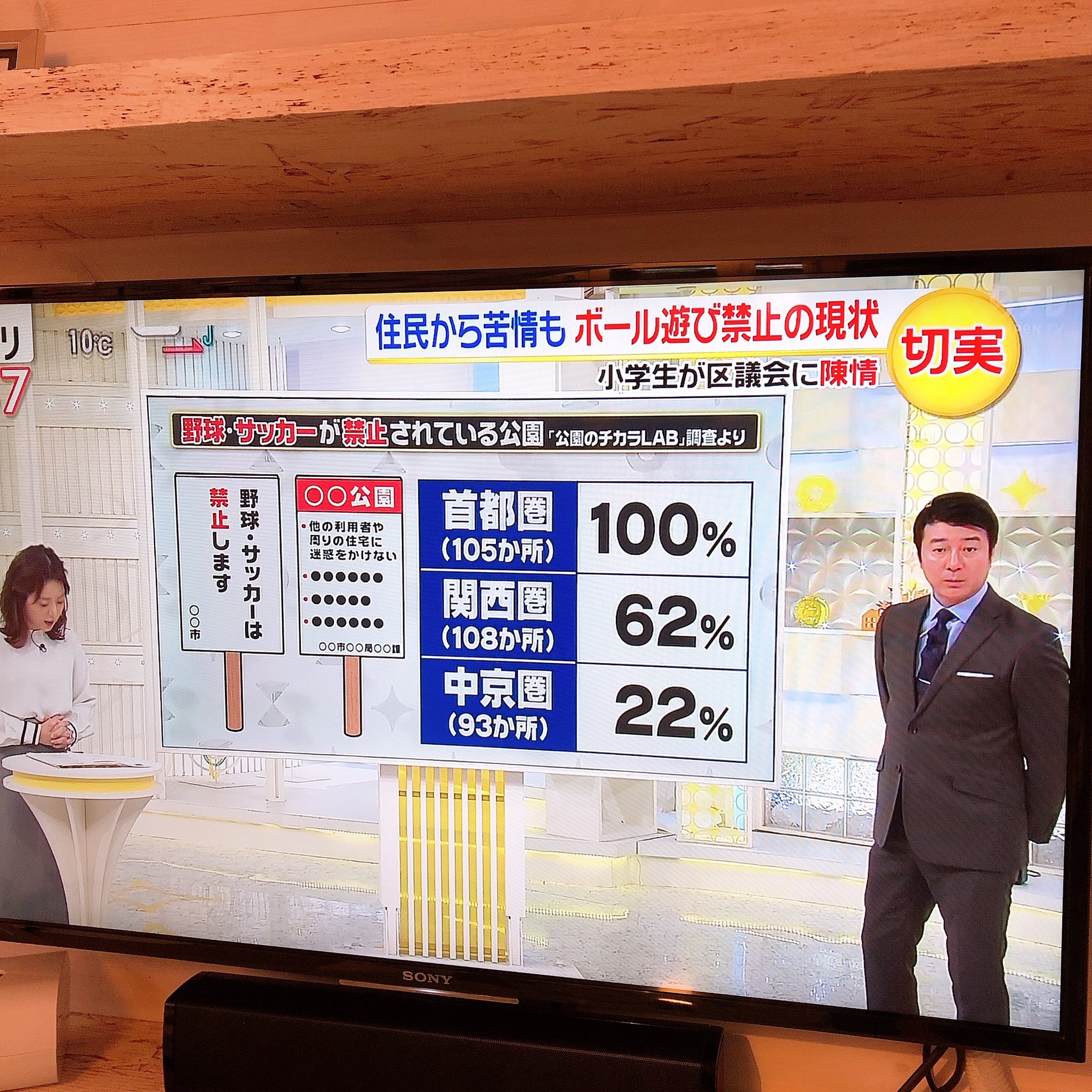 Ikedamarima Ar Twitter 板橋区議会に陳述書を小学生が提出 えらい ボール遊び 子供が使用していたグランドの使用禁止の説明会は大人が対象だったと だから子どもにもちゃんと説明してほしいと その通りだよ子ども 今の子は体力低下と言ってるけど それ当然だ