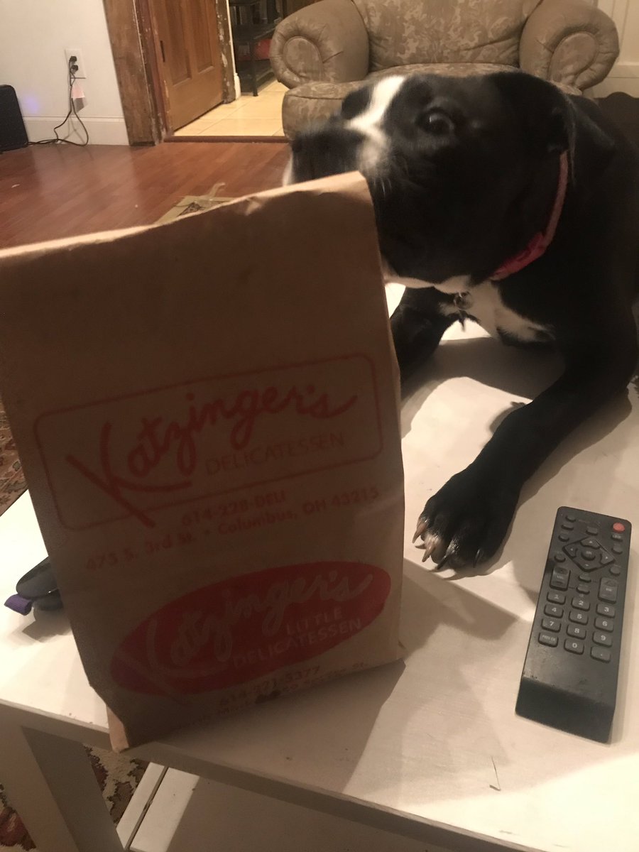 torri_huebner's tweet photo. I’m not the only one who loves @katzingers in my house 🐾 #lifewithlilly https://t.co/MT07pEK9Mn