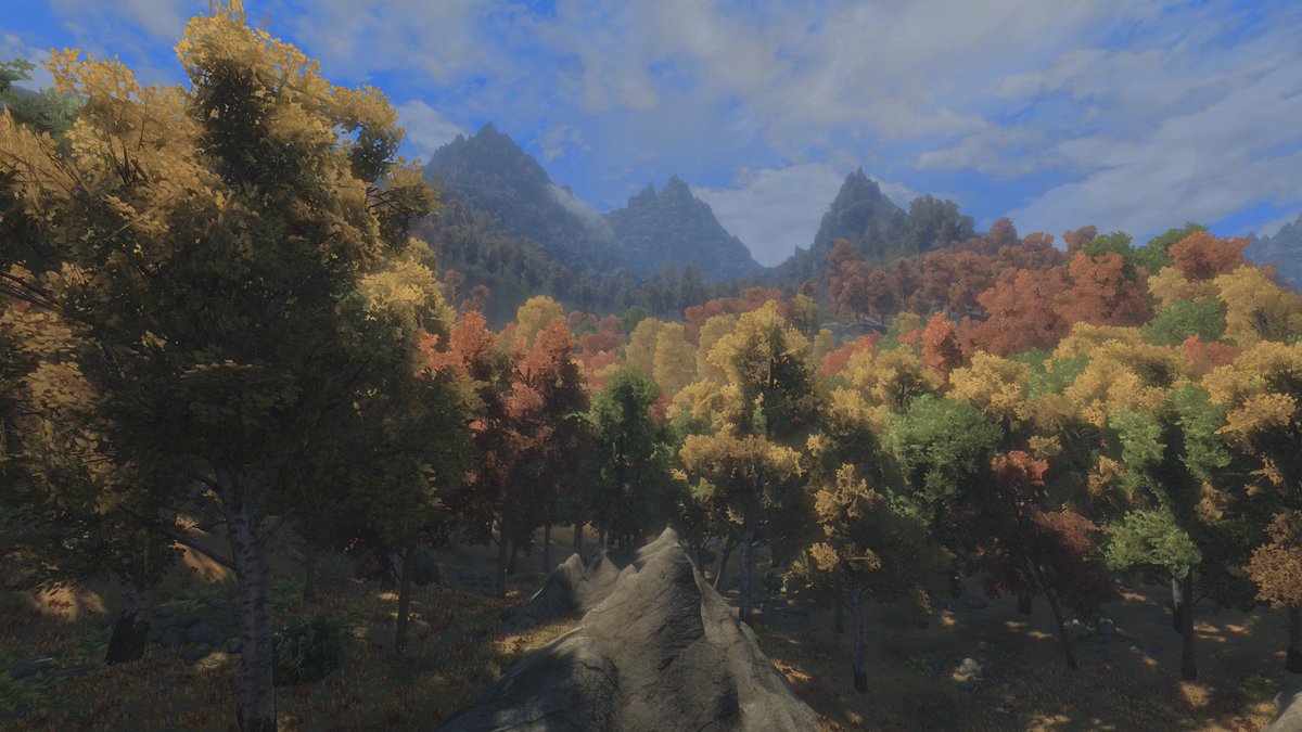 LorexValkin's tweet photo. Feeling autumn up in here @TESRSkyblivion
#skyblivion #oblivion #tesr #tes4 #tes5 https://t.co/tvwaPGZ0OC