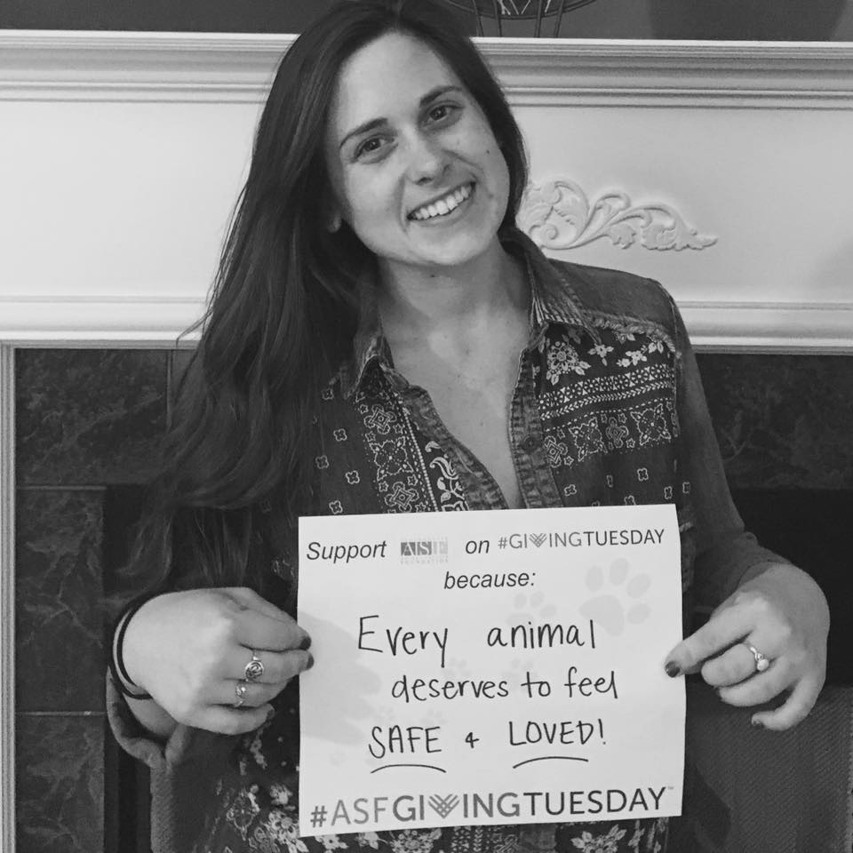 Check this #ThrowbackThursday from our campaign in 2016! The messages still ring true today, and because of your donations we have helped even more animals in the past 2 years! #GivingTuesday #ASFGivingTuesday