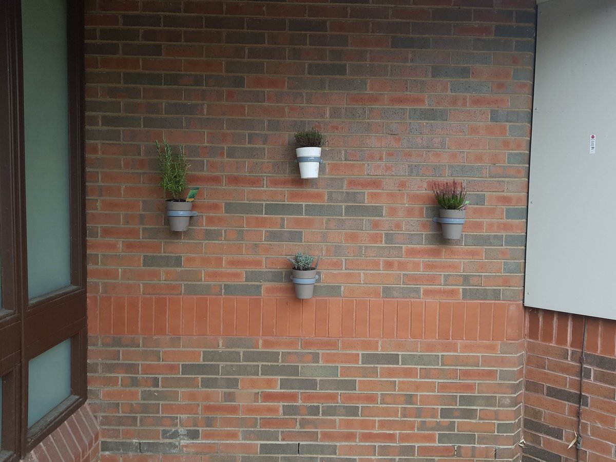 Birmingham Prince's Trust Team tweet media