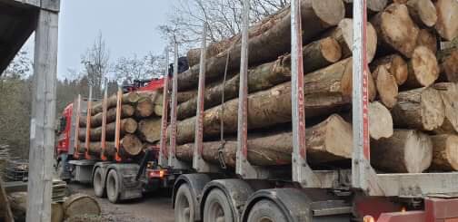 WenTimberCentre's tweet image. A lovely delivery of local, Herefordshire Sycamore logs arrived today and the star that is @michaelsparey has started milling them already 👍🌳#localtimber #sustainablelogging #sustainabletimber #sycamore #millthemstraightaway #localhardwoods #wentwoodtimbercentre #hardwoods
