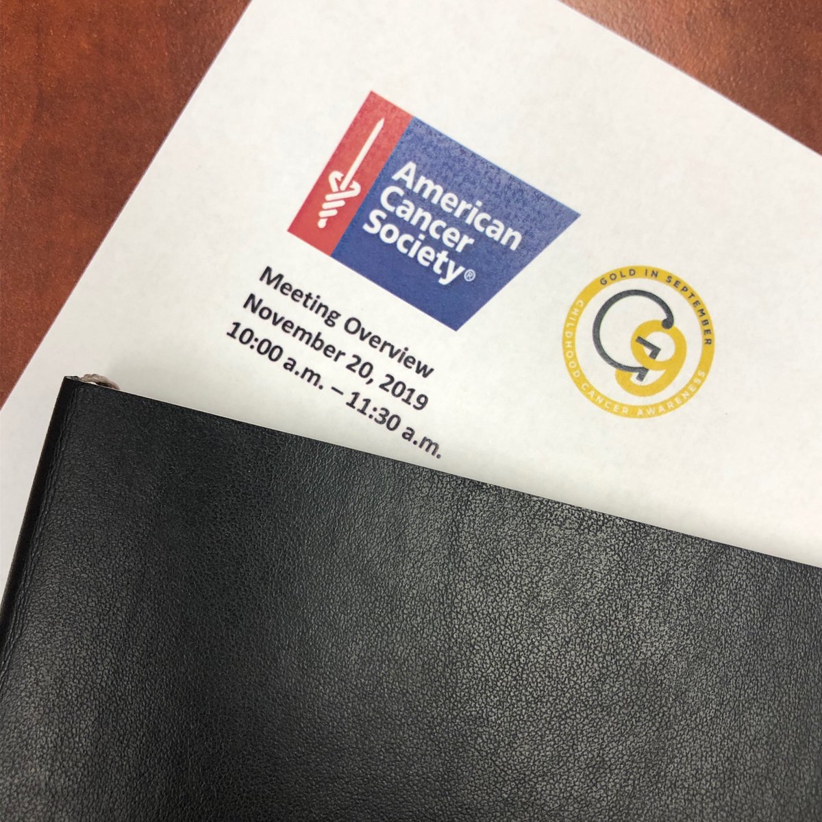 GoldInSeptember's tweet photo. Gold In September met with the @AmericanCancer yesterday at the global headquarters in Atlanta. What an honor to discuss pediatric cancer efforts and initiatives. #growGOLD #childhoodcancer #colaboration ##americancancersociety #goldinseptember #strongertogether https://t.co/P5xUzSpQpm