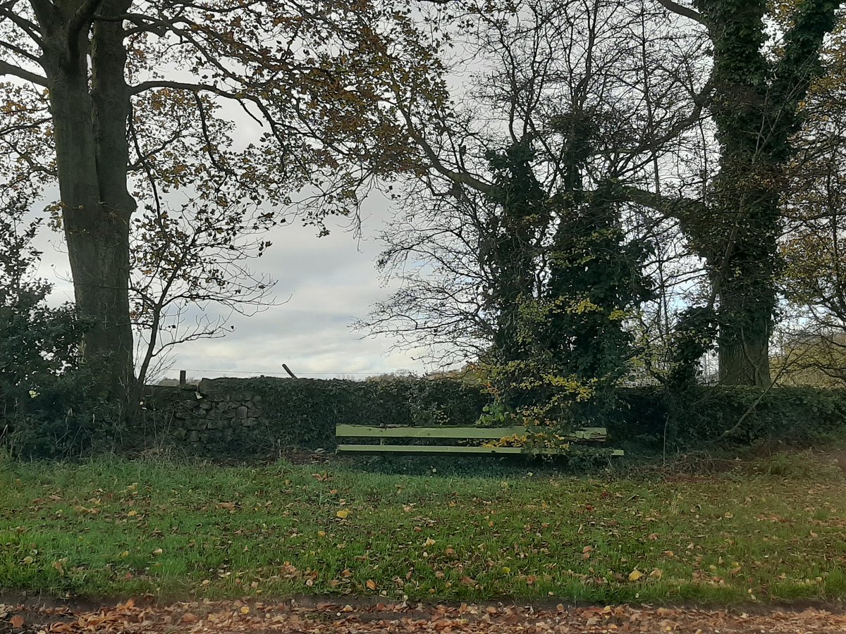 ViewsBench's tweet photo. Bench 17
Cornwall Road
My favourite bench in all of #Harrogate 
10/11/19
@MyFaveBench
@FavouriteBench
#bench #benchview #benches #benchesoftheworldunite #benchesaroundtheworld #benchwithaview #benchlovers #benchesforall #bencheseverywhere https://t.co/xvyolgtl0H