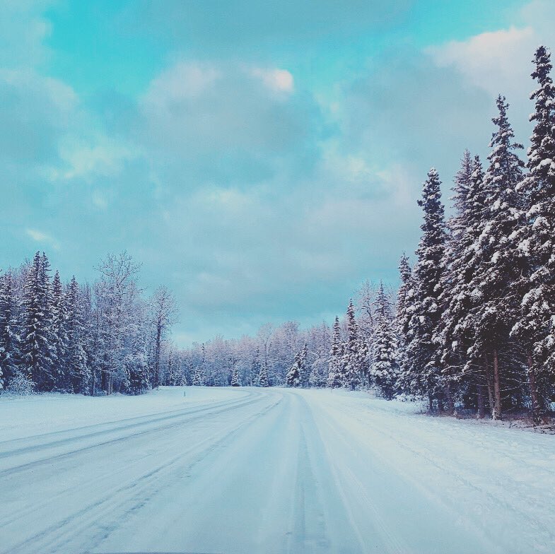 ridgebreakbrand's tweet photo. Another trip to #Alaska booked! The views are like no other! And the wildlife is beautiful🌲❄️ https://t.co/o8F0ILlwww