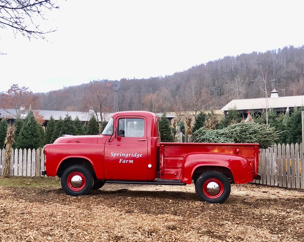 New addition to the farm this Christmas. What do you think of our vintage truck?
Springridgefarm.com