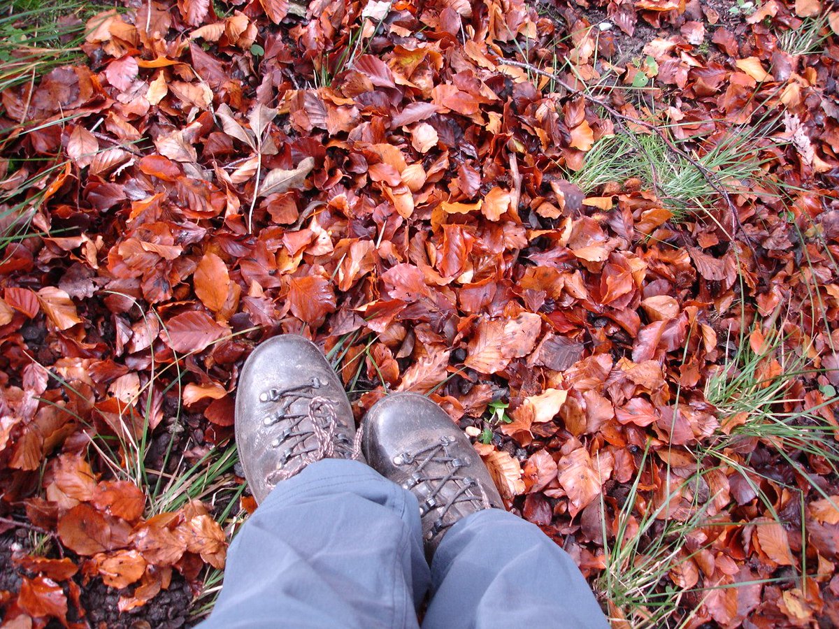 Karen Perkins Life Career Coach she/her 🌿 (@fabcoach) on Twitter photo Join us #Netwalking on Thurs 5th Dec 9.20 for 9.30 set off from <a href="/ENDPARKCAFE/">ENDCLIFFE PARK CAFE</a> … boots and brollies. 5k then coffee/tea. Sustainability & tech sharing networking ! <a href="/sskdesign/">Ssk Drift</a> <a href="/FayeFork/">Faye Smith</a> <a href="/fabcoach/">Karen Perkins Life Career Coach she/her 🌿</a> <a href="/TheFoodWorksSHF/">Food Works Sheffield</a> Join us #Netwalking on Thurs 5th Dec 9.20 for 9.30 set off from <a href="/ENDPARKCAFE/">ENDCLIFFE PARK CAFE</a> … boots and brollies. 5k then coffee/tea. Sustainability & tech sharing networking ! <a href="/sskdesign/">Ssk Drift</a> <a href="/FayeFork/">Faye Smith</a> <a href="/fabcoach/">Karen Perkins Life Career Coach she/her 🌿</a> <a href="/TheFoodWorksSHF/">Food Works Sheffield</a>
