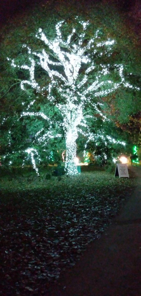 Dáire Basra tweet media