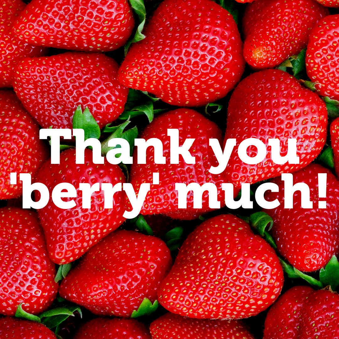 MaryPotterNZ's tweet photo. We're THRILLED to announce that we rasied over $52,000 at this year's Midland Park Hospice Strawberry Festival! 🍓🍨 This is the most that's ever been raised so thank you all so 'berry' much for your support! ❤️ https://t.co/Z31YLND8Qu