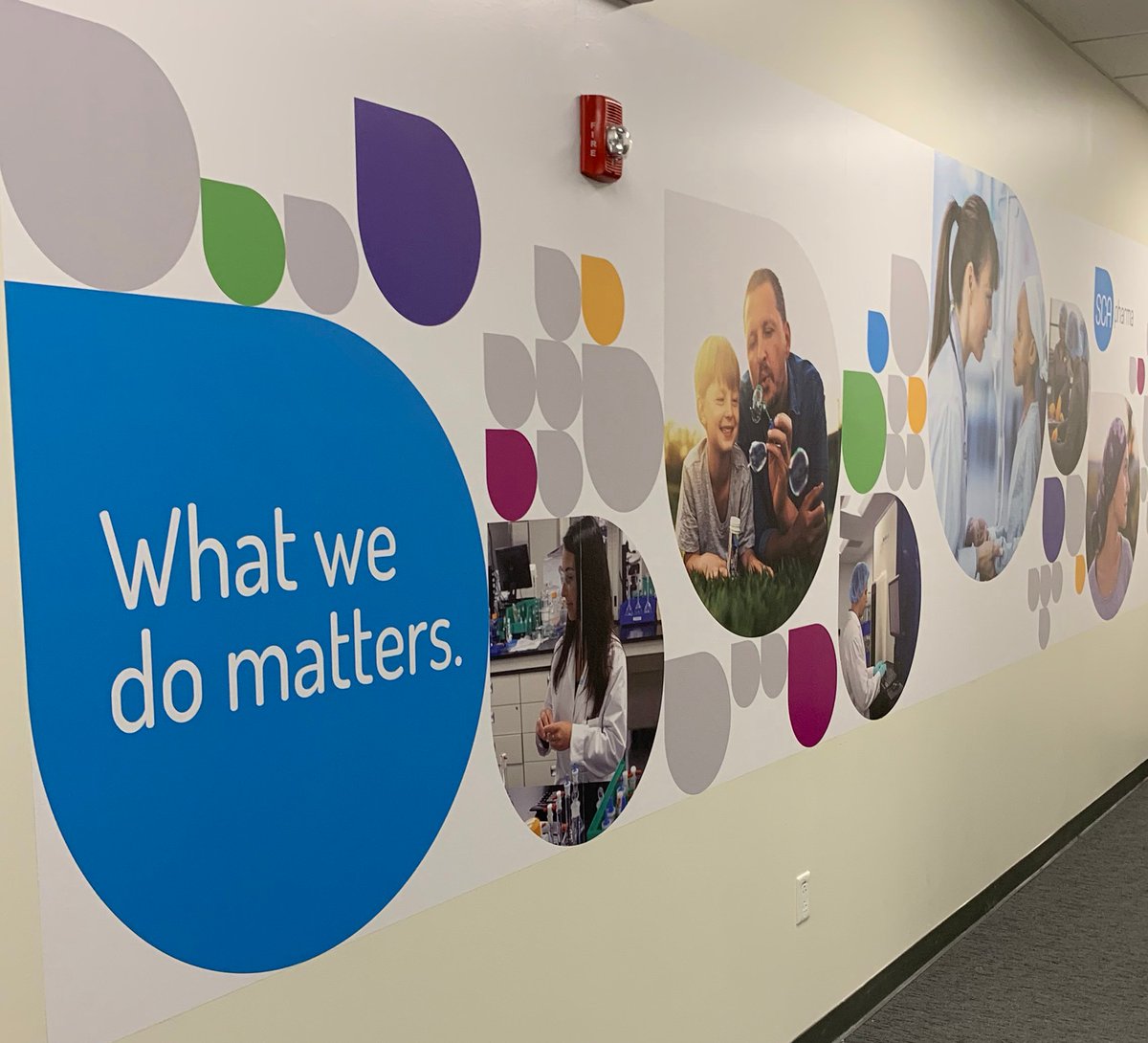 Sinclair_Co's tweet photo. Earlier this summer, we highlighted our #rebranding work for SCA Pharma and said to “Stay tuned.” Today, for #30YearsThursday, we’re happy to share the evolution of the brand, as demonstrated by these dynamic interior graphics. See the original work: https://t.co/GATQuMUPaC. https://t.co/9ZjYPINv7q