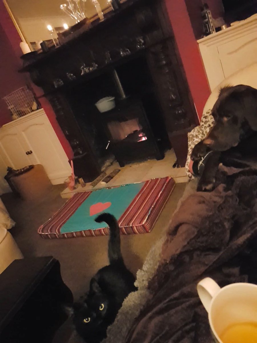 DominiquedeCruz's tweet photo. Log fire, mulled cider, candlelight,  puppa and kitty.. home sweet home! https://t.co/zPwCa0bh69