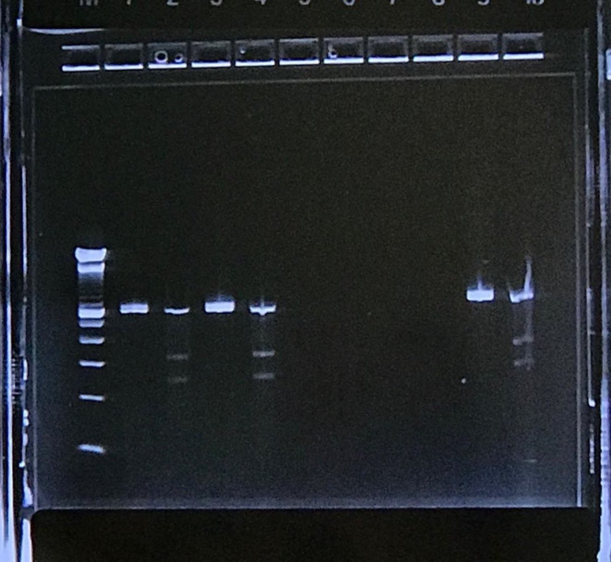 kids_who_code's tweet photo. Ashish Thakur loves research. And he loves collaborating with scientists. When we discuss, share, and help each other, science progresses faster. https://t.co/c57IA4ztKi