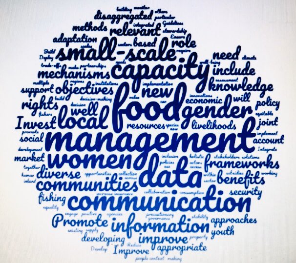 Closing ceremony at @FAOfish Int. Symposium on #sustainablefisheries.  Check this summarizing word cloud, which clearly shows that the global community calls for #gender, #smallscalefisheries, #local #management as vital in the vision for oceans & fisheries in the 21st century.