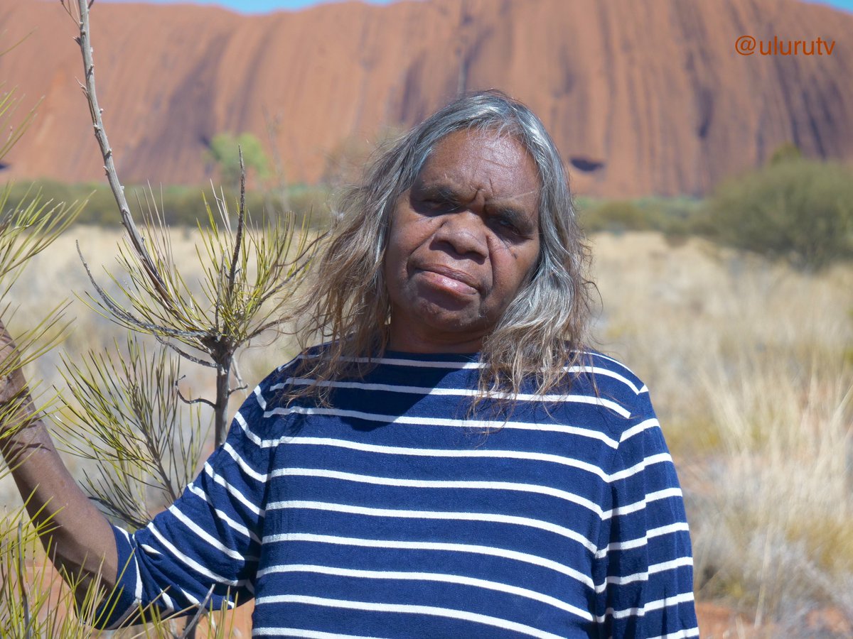 Some of Australia's oldest songs and dances travel today from #Uluru to #DanceRites @SydOperaHouse, as internationally acclaimed artist and dancer, Rene Kulitja, heads to Sydney today with over two dozen singers and dancers. #ulurukatatjutanationalpark #FirstNations @MarukuArts