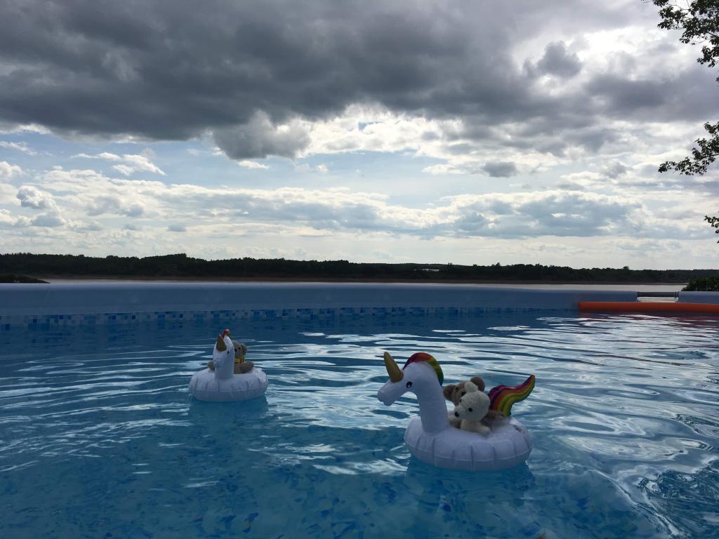 It is getting late #keepfits #keepfats #ollyday #toddyshug